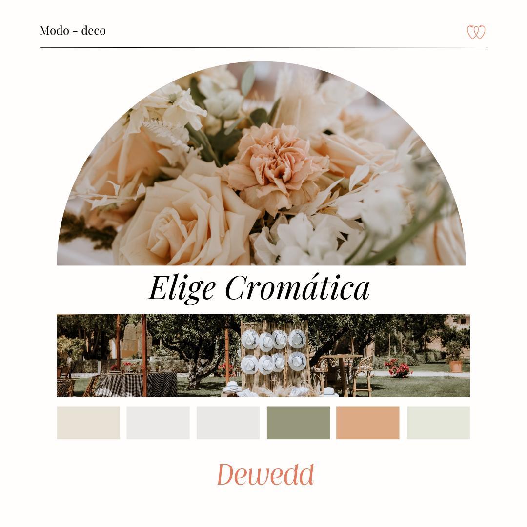 Dewedd organiza tu boda online