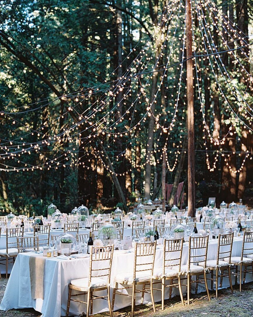 Boda verbena