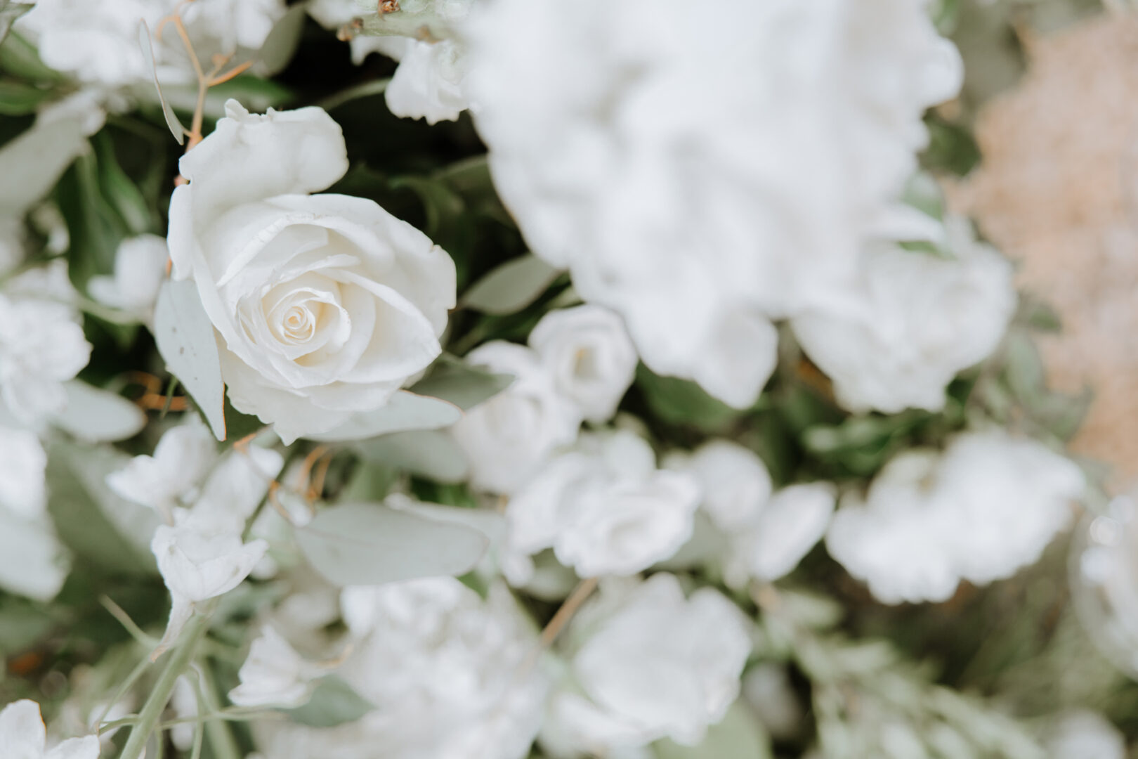 Flores naturales para bodas